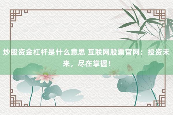 炒股资金杠杆是什么意思 互联网股票官网：投资未来，尽在掌握！