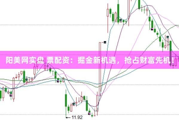 阳美网实盘 票配资：掘金新机遇，抢占财富先机！