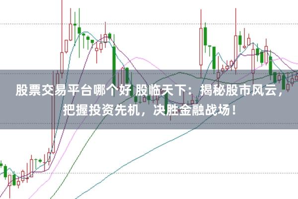 股票交易平台哪个好 股临天下：揭秘股市风云，把握投资先机，决胜金融战场！