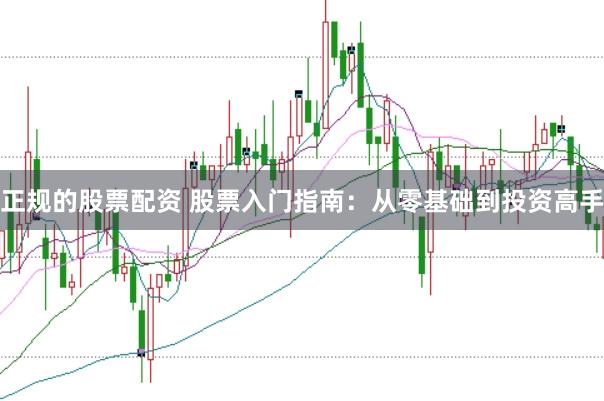 正规的股票配资 股票入门指南：从零基础到投资高手