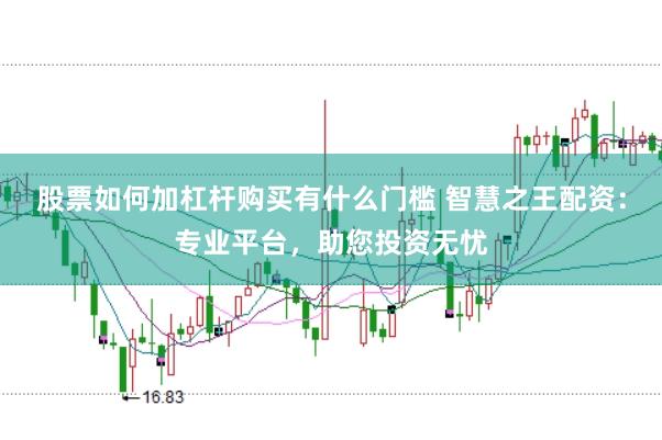 股票如何加杠杆购买有什么门槛 智慧之王配资：专业平台，助您投资无忧