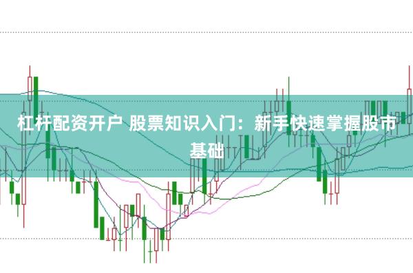 杠杆配资开户 股票知识入门：新手快速掌握股市基础