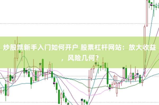 炒股票新手入门如何开户 股票杠杆网站：放大收益，风险几何？