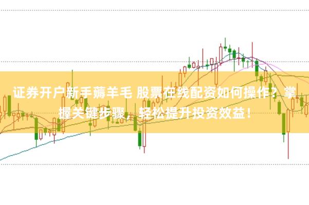 证券开户新手薅羊毛 股票在线配资如何操作？掌握关键步骤，轻松提升投资效益！