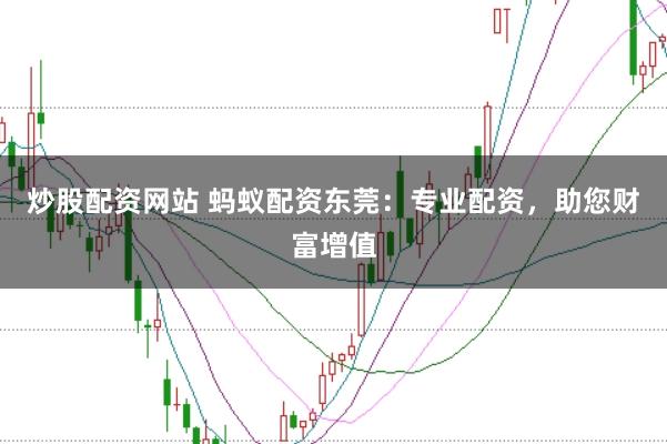 炒股配资网站 蚂蚁配资东莞：专业配资，助您财富增值