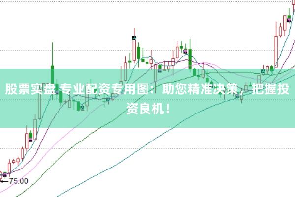 股票实盘 专业配资专用图：助您精准决策，把握投资良机！