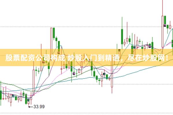 股票配资公司构成 炒股入门到精通，尽在炒股网！