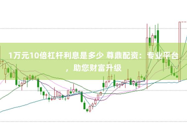 1万元10倍杠杆利息是多少 尊鼎配资：专业平台，助您财富升级