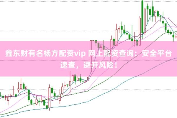 鑫东财有名杨方配资vip 网上配资查询：安全平台速查，避开风险！