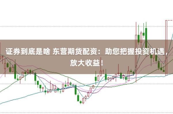 证券到底是啥 东营期货配资：助您把握投资机遇，放大收益！
