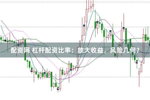 配资网 杠杆配资比率：放大收益，风险几何？