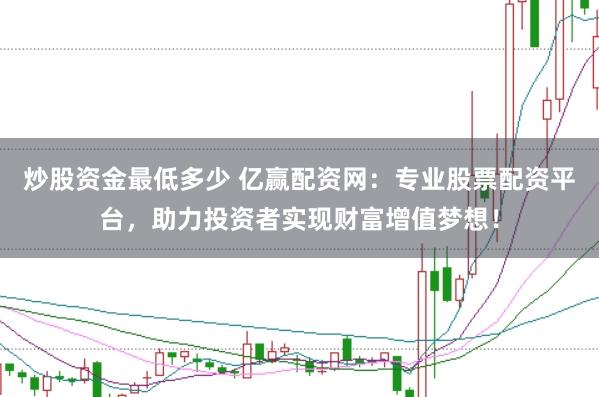 炒股资金最低多少 亿赢配资网：专业股票配资平台，助力投资者实现财富增值梦想！
