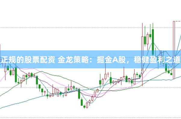 正规的股票配资 金龙策略:掘金A股,稳健盈利之道