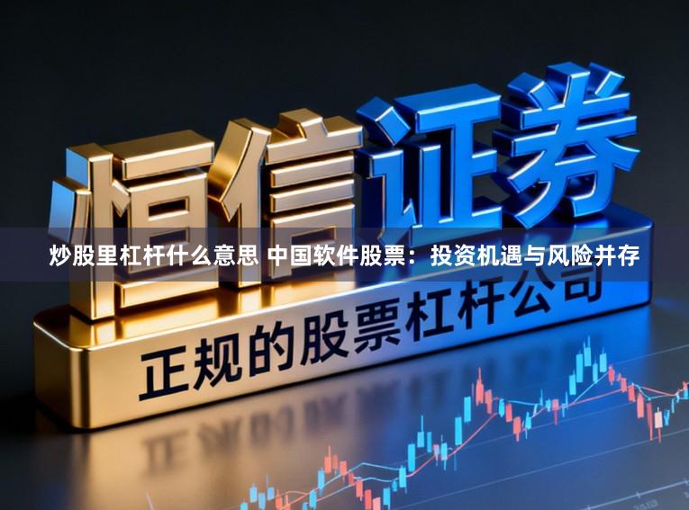 炒股里杠杆什么意思 中国软件股票：投资机遇与风险并存