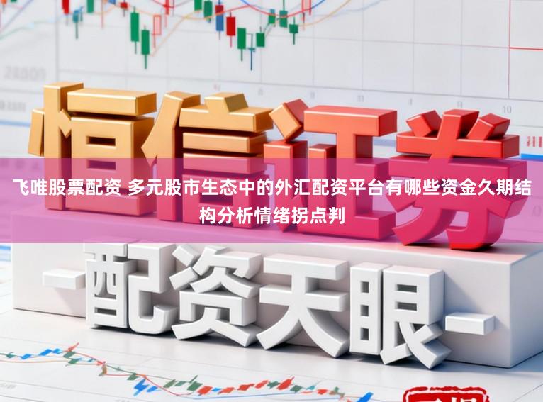 飞唯股票配资 多元股市生态中的外汇配资平台有哪些资金久期结构分析情绪拐点判