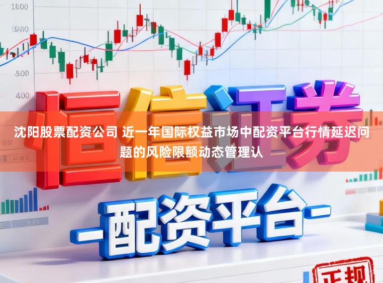 沈阳股票配资公司 近一年国际权益市场中配资平台行情延迟问题的风险限额动态管理认