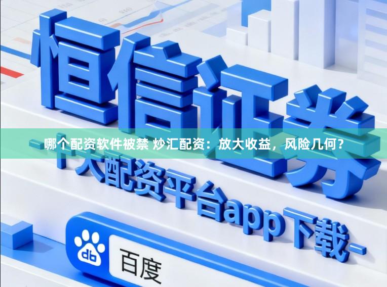 哪个配资软件被禁 炒汇配资：放大收益，风险几何？