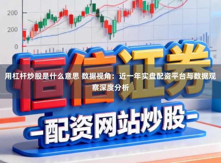 用杠杆炒股是什么意思 数据视角：近一年实盘配资平台与数据观察深度分析